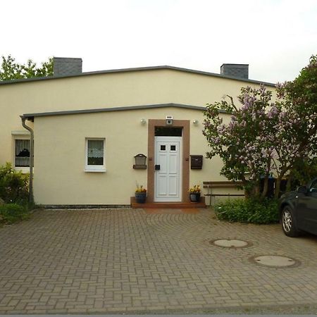 Pension Rosenvilla Sedlitz ภายนอก รูปภาพ