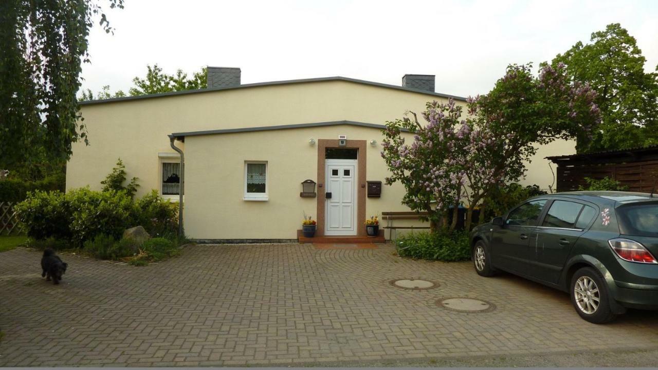 Pension Rosenvilla Sedlitz ภายนอก รูปภาพ